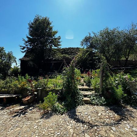 Saschiz 175 Guesthouse Dış mekan fotoğraf