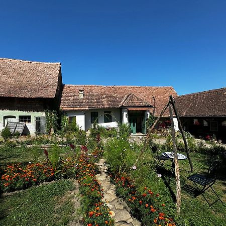 Saschiz 175 Guesthouse Dış mekan fotoğraf