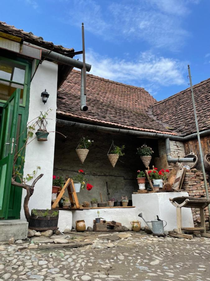 Saschiz 175 Guesthouse Dış mekan fotoğraf