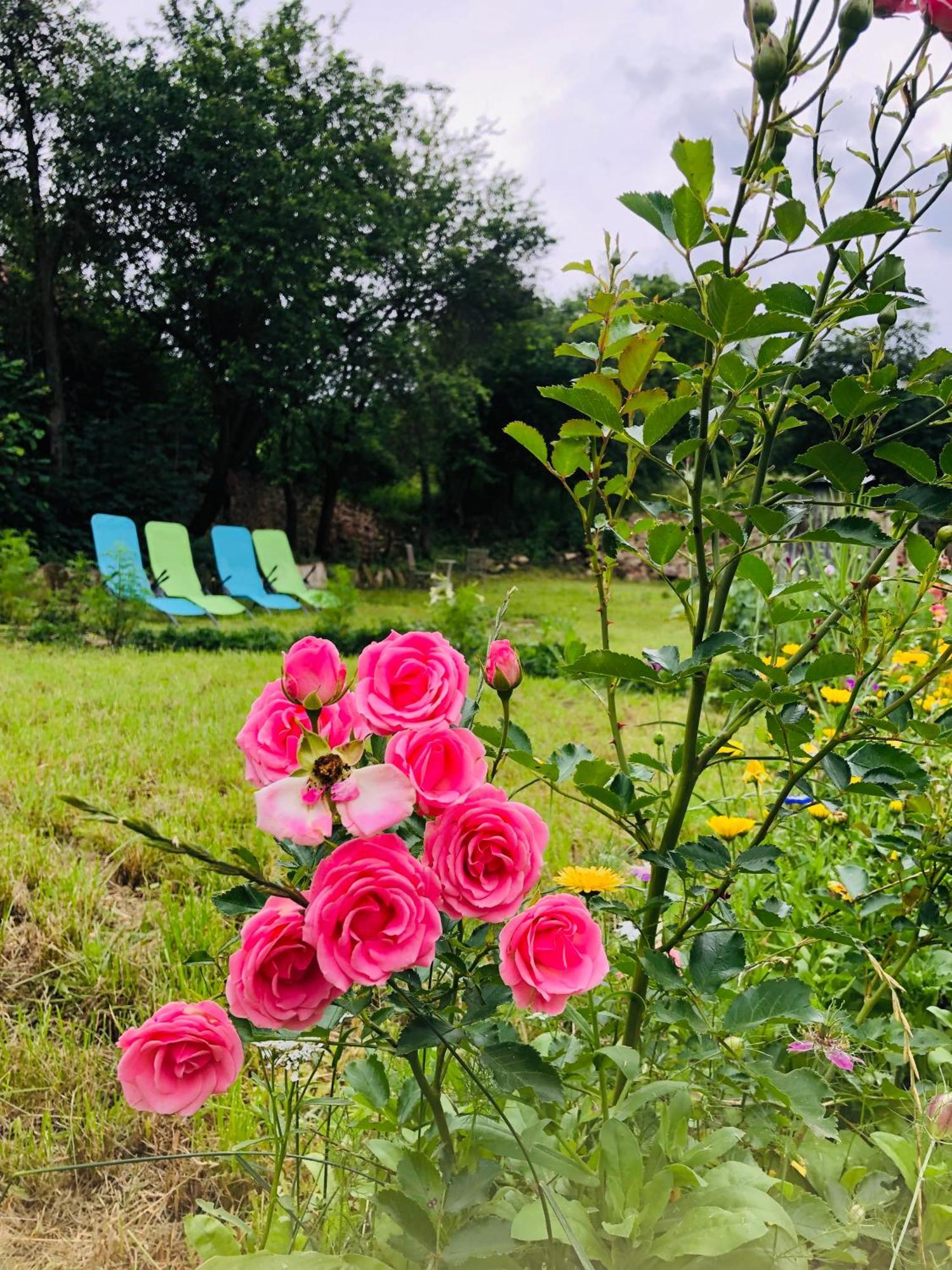 Saschiz 175 Guesthouse Dış mekan fotoğraf