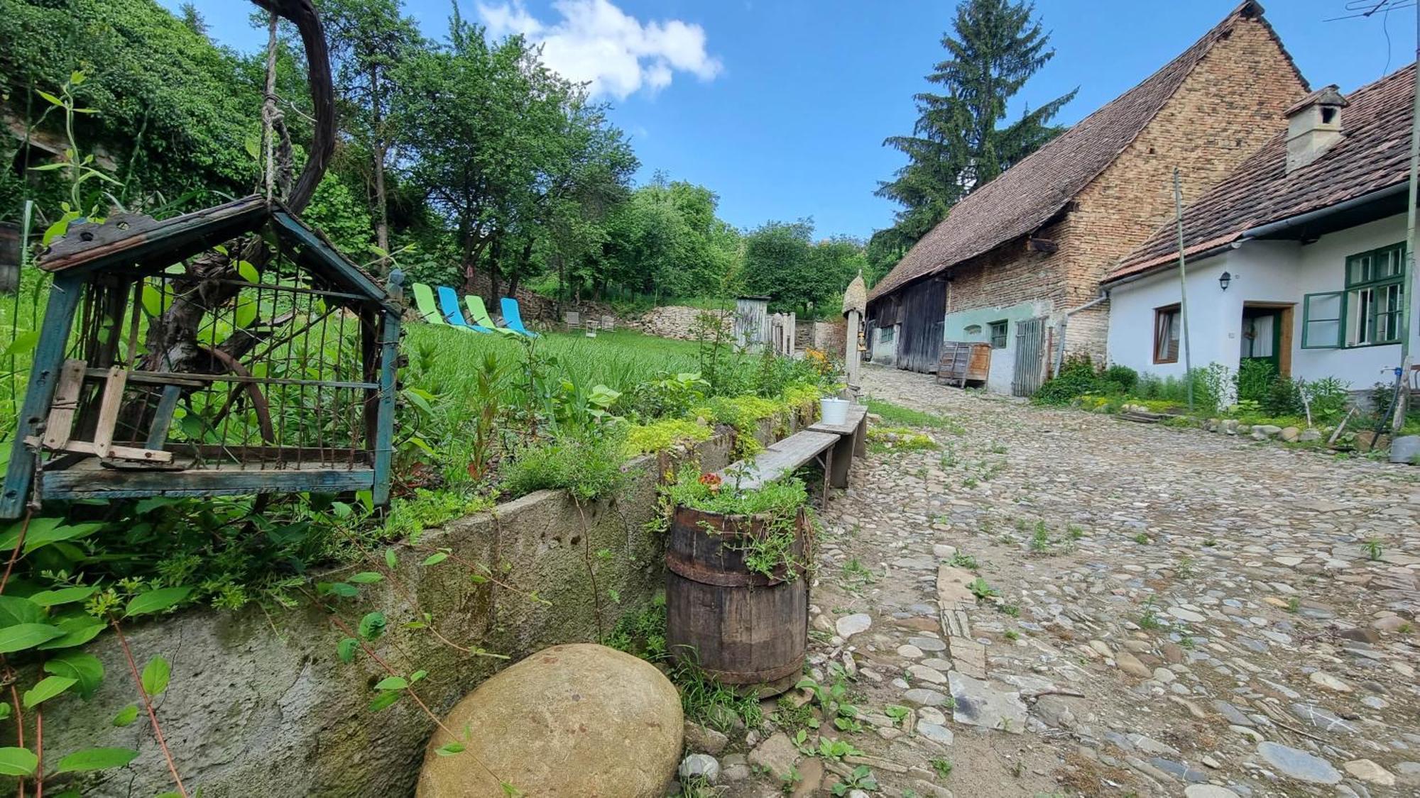 Saschiz 175 Guesthouse Dış mekan fotoğraf