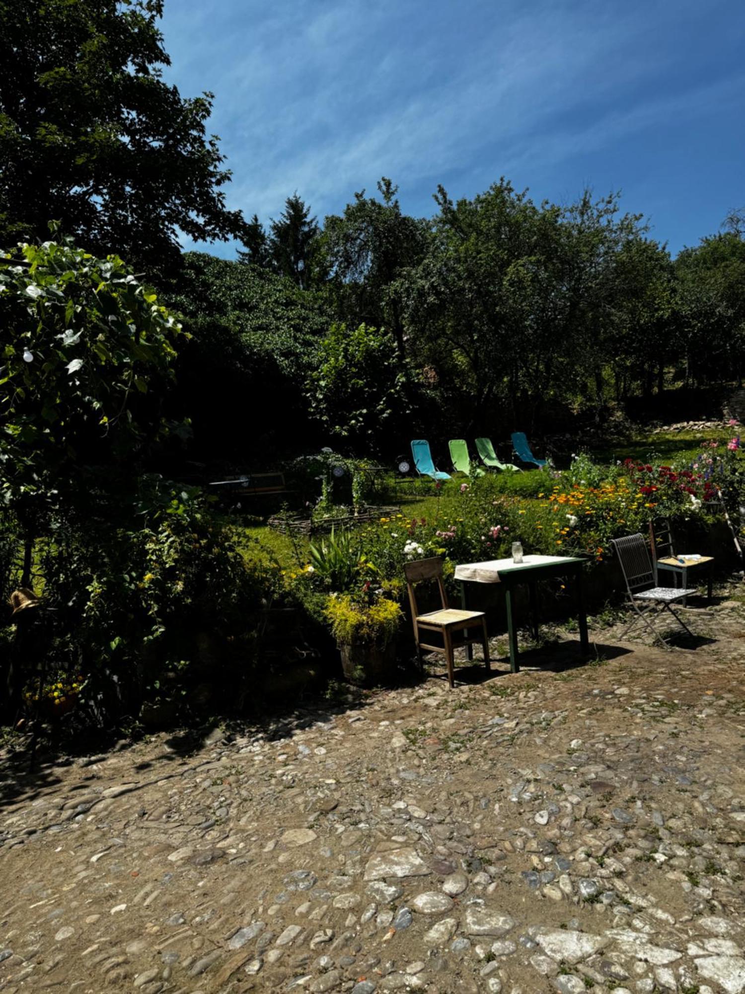 Saschiz 175 Guesthouse Dış mekan fotoğraf