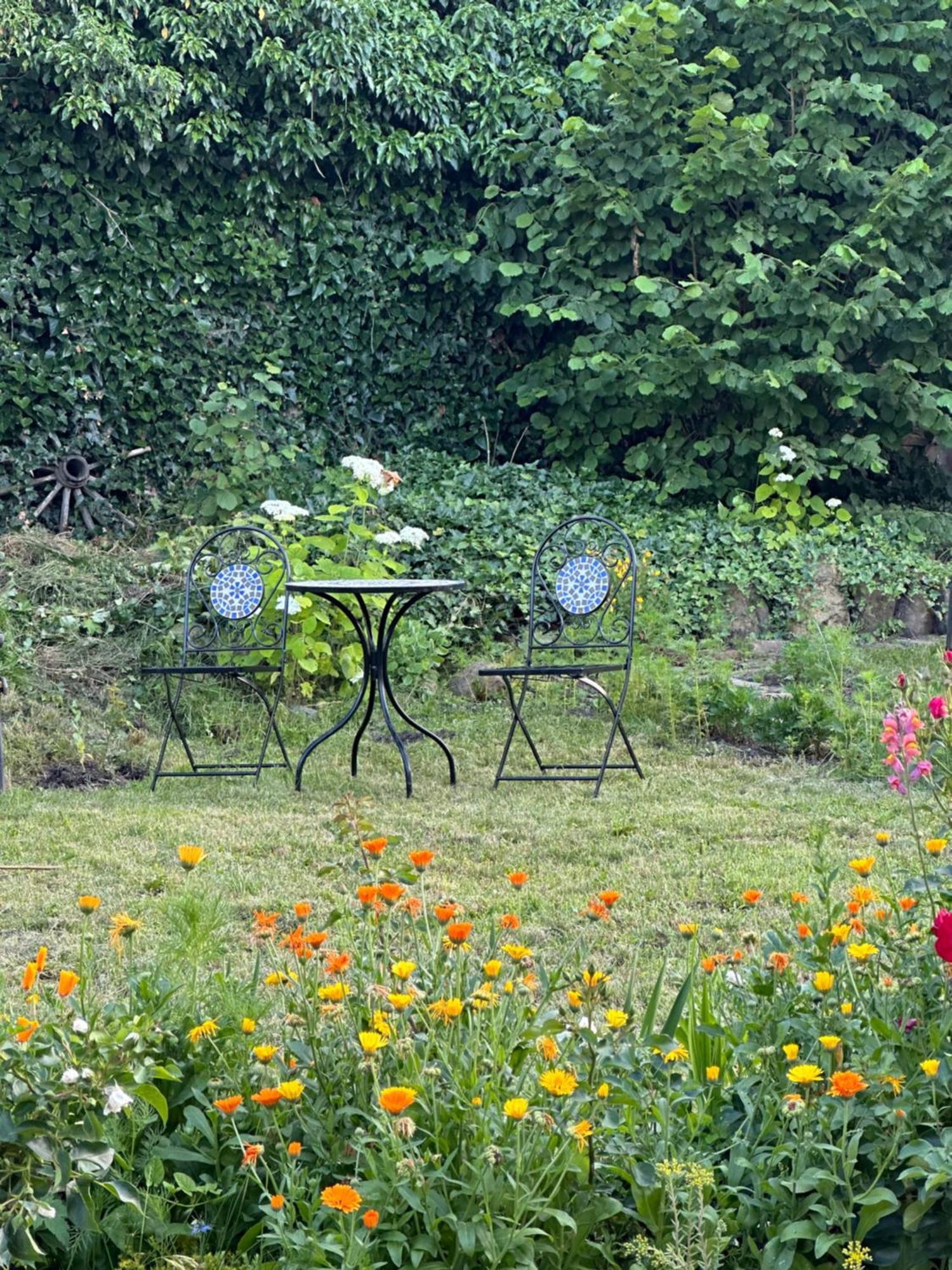 Saschiz 175 Guesthouse Dış mekan fotoğraf