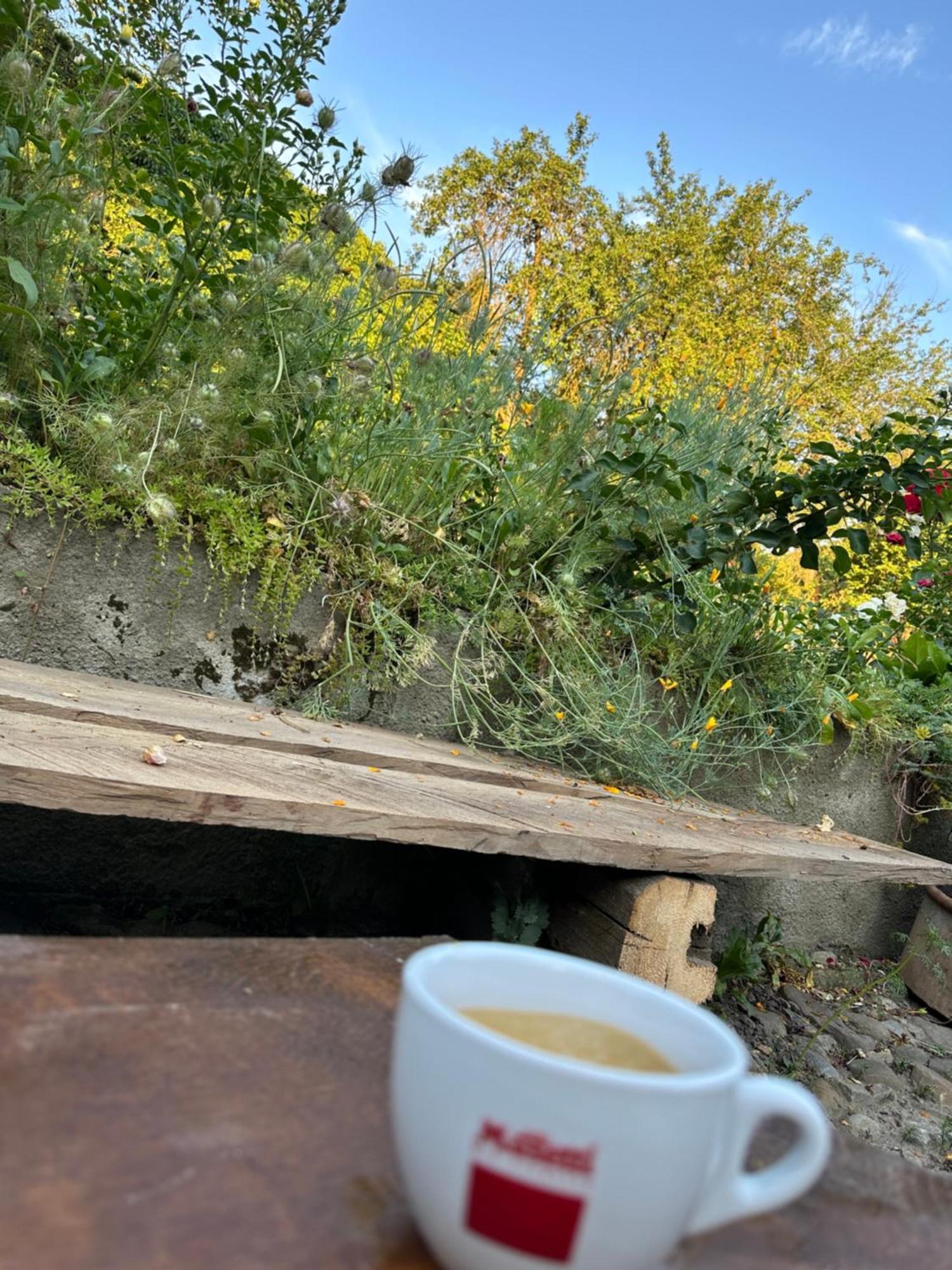 Saschiz 175 Guesthouse Dış mekan fotoğraf