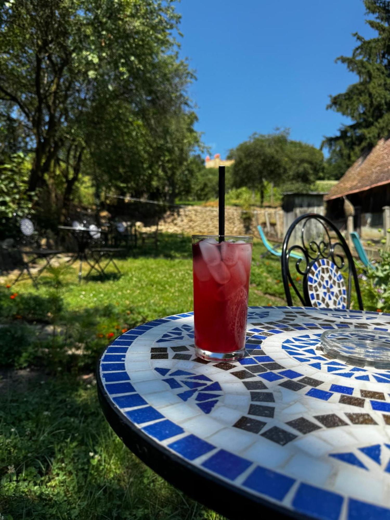 Saschiz 175 Guesthouse Dış mekan fotoğraf