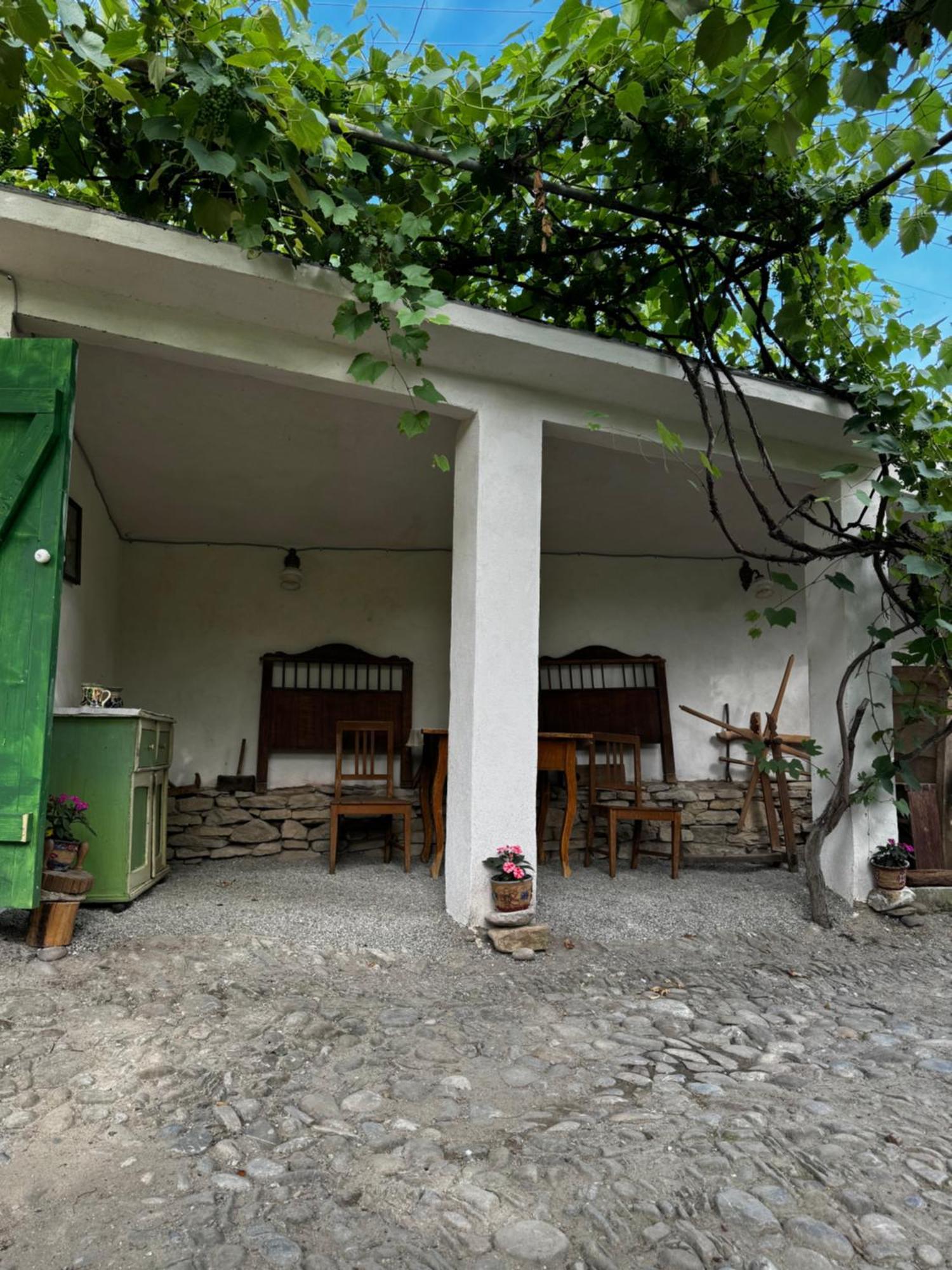 Saschiz 175 Guesthouse Dış mekan fotoğraf