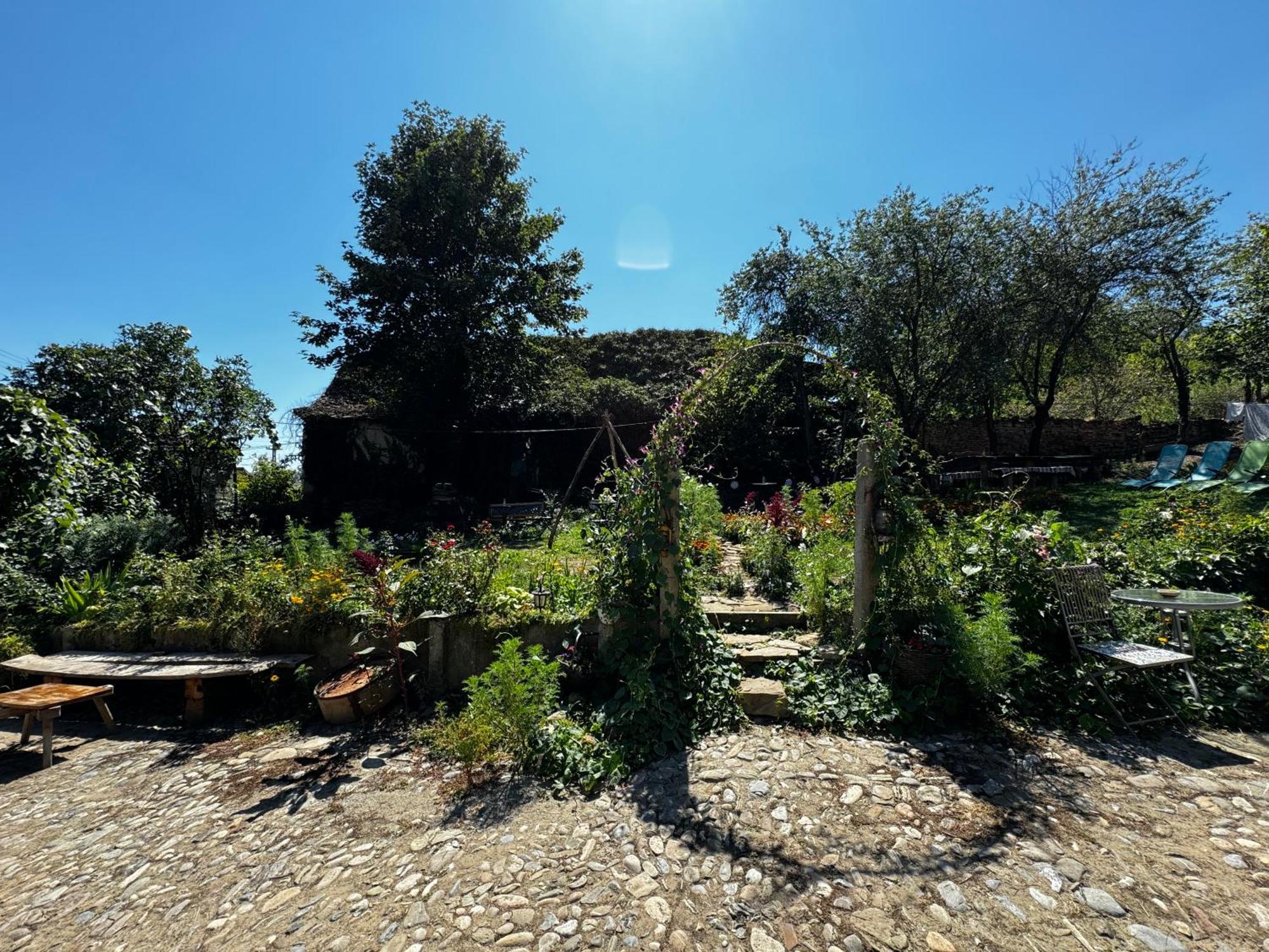 Saschiz 175 Guesthouse Dış mekan fotoğraf