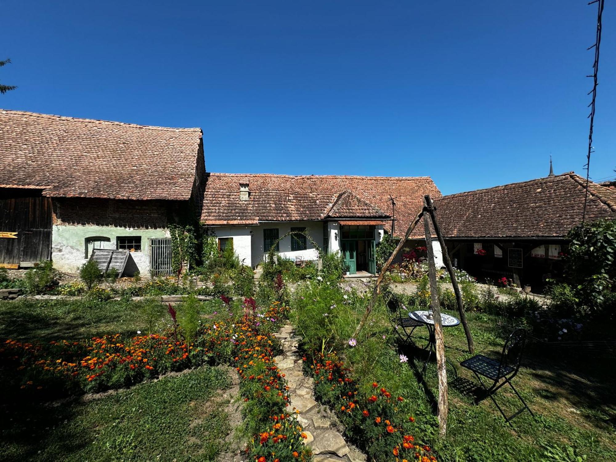 Saschiz 175 Guesthouse Dış mekan fotoğraf